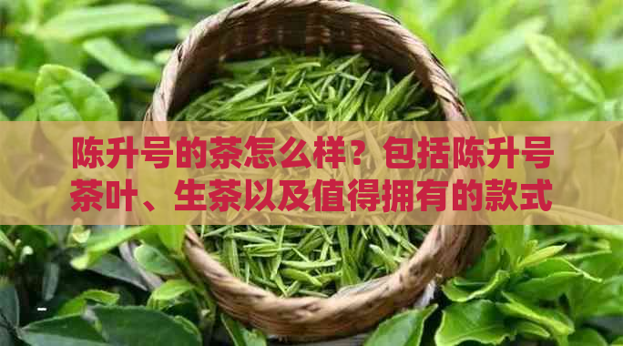 陈升号的茶怎么样？包括陈升号茶叶、生茶以及值得拥有的款式和价格表2020。