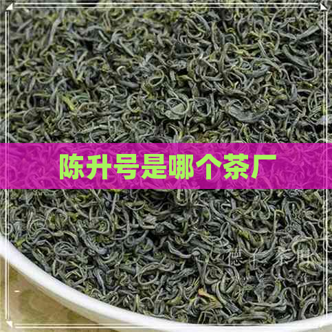 陈升号是哪个茶厂