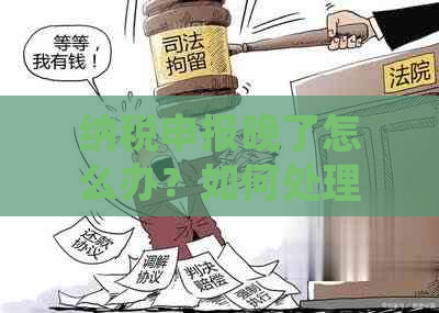 纳税申报晚了怎么办？如何处理逾期申报及网上申请期