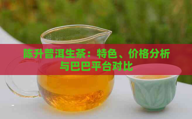 陈升普洱生茶：特色、价格分析与巴巴平台对比