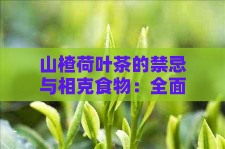 山楂荷叶茶的禁忌与相克食物：全面解析不容忽视的重要因素