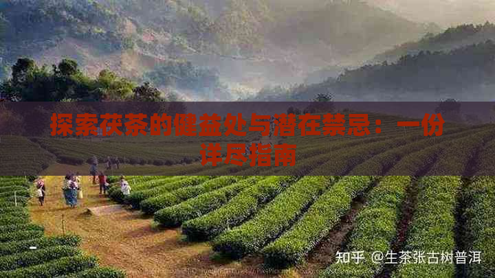 探索茯茶的健益处与潜在禁忌：一份详尽指南