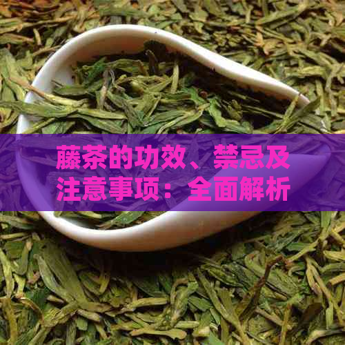 藤茶的功效、禁忌及注意事项：全面解析藤茶的适用范围与潜在风险