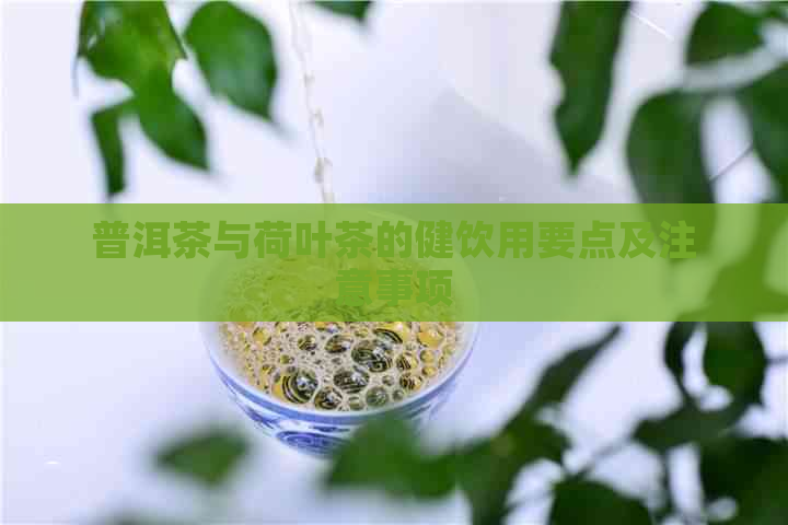 普洱茶与荷叶茶的健饮用要点及注意事项