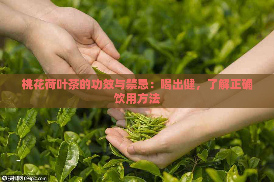 桃花荷叶茶的功效与禁忌：喝出健，了解正确饮用方法