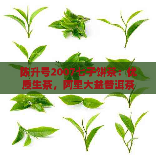 陈升号2007七子饼茶：优质生茶，阿里大益普洱茶的价格对比分析