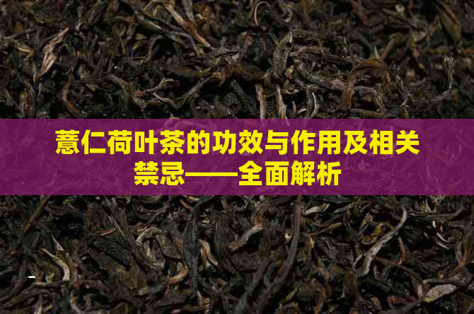 薏仁荷叶茶的功效与作用及相关禁忌——全面解析