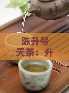 陈升号天茶：升华品味的艺术茶品