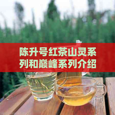 陈升号红茶山灵系列和巅峰系列介绍及价格，品质如何？