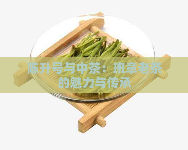 陈升号与中茶：班章老茶的魅力与传承