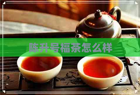 陈升号福茶怎么样