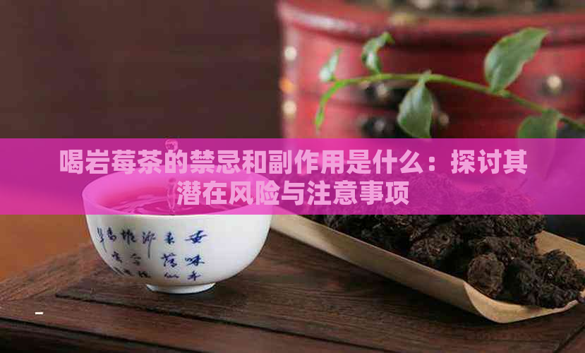 喝岩莓茶的禁忌和副作用是什么：探讨其潜在风险与注意事项