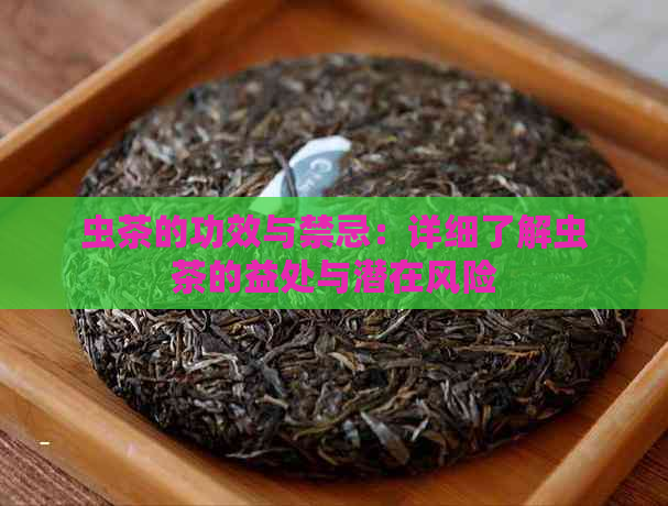 虫茶的功效与禁忌：详细了解虫茶的益处与潜在风险