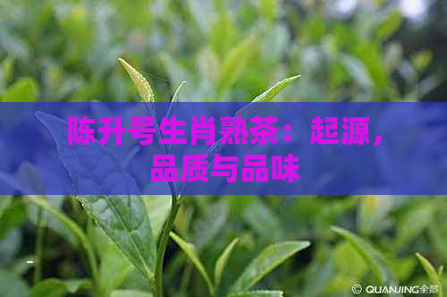 陈升号生肖熟茶：起源，品质与品味