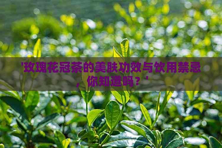 '玫瑰花冠茶的美肤功效与饮用禁忌，你知道吗？'