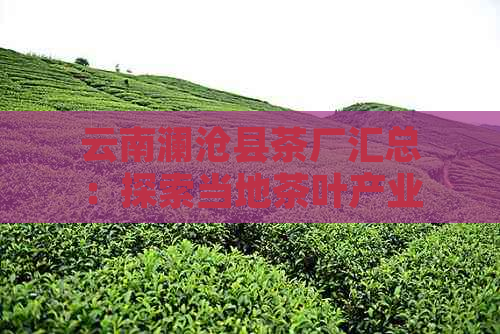 云南澜沧县茶厂汇总：探索当地茶叶产业，了解各家及特色