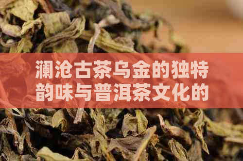 澜沧古茶乌金的独特韵味与普洱茶文化的融合之道