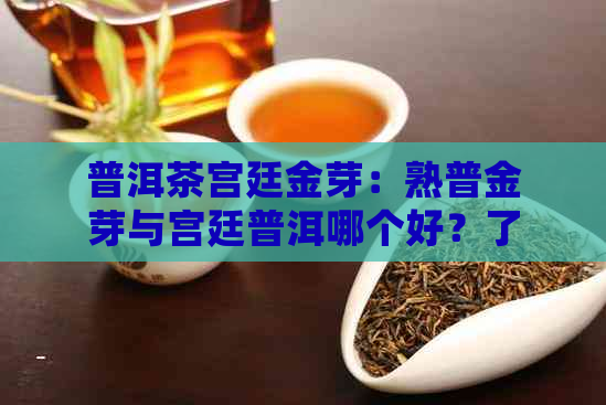 普洱茶宫廷金芽：熟普金芽与宫廷普洱哪个好？了解宫廷金芽及熟茶的含义。