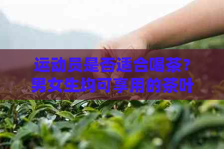 运动员是否适合喝茶？男女生均可享用的茶叶种类与注意事项