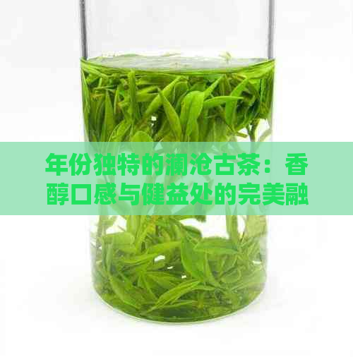 年份独特的澜沧古茶：香醇口感与健益处的完美融合