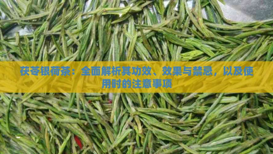 茯苓银荷茶：全面解析其功效、效果与禁忌，以及使用时的注意事项