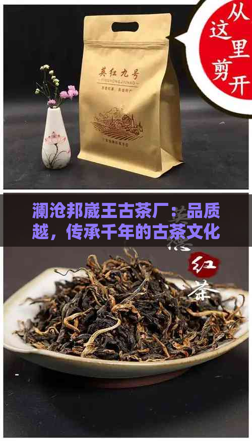 澜沧邦崴王古茶厂：品质越，传承千年的古茶文化体验