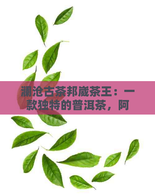 澜沧古茶邦崴茶王：一款独特的普洱茶，阿里批发价格实