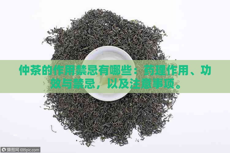 仲茶的作用禁忌有哪些：药理作用、功效与禁忌，以及注意事项。