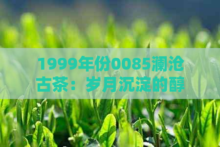 1999年份0085澜沧古茶：岁月沉淀的醇厚口感与独特风味