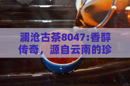 澜沧古茶8047:香醇传奇，源自云南的珍藏茶艺