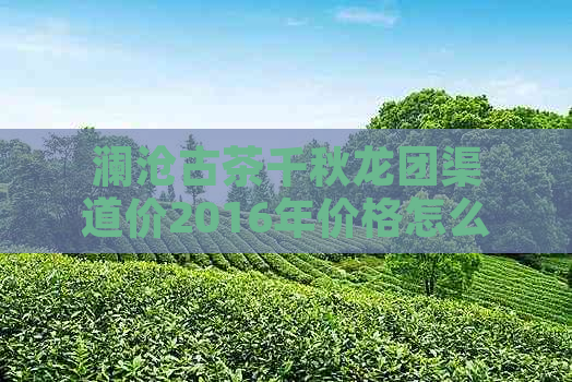 澜沧古茶千秋龙团渠道价2016年价格怎么样？