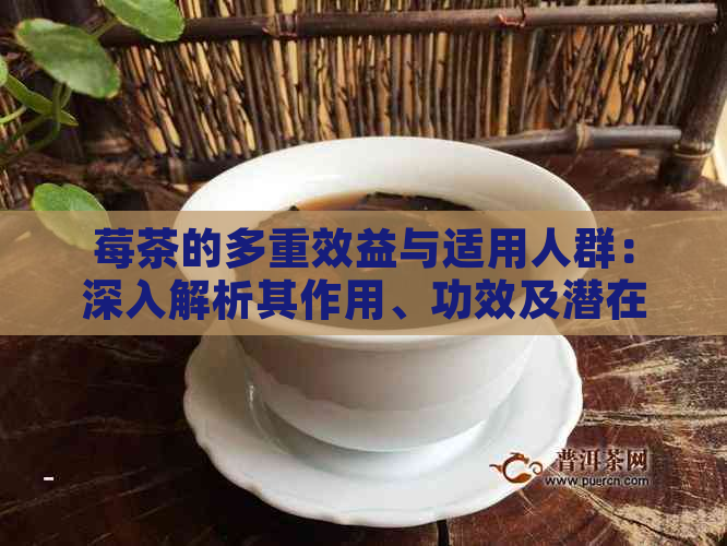 莓茶的多重效益与适用人群：深入解析其作用、功效及潜在禁忌症