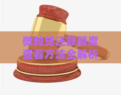 微粒贷还款额度查看方法全解析：如何了解当前可用还款额度和借款进度？