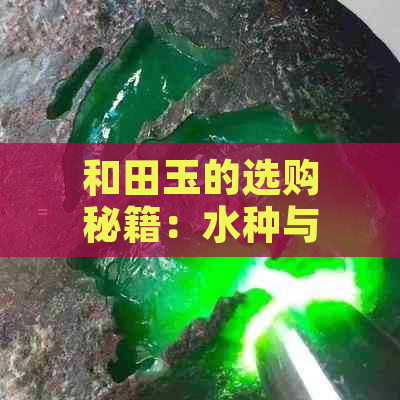 和田玉的选购秘籍：水种与色泽的完美融合