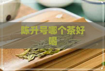 陈升号哪个茶好喝