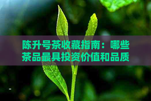 陈升号茶收藏指南：哪些茶品更具投资价值和品质保障？