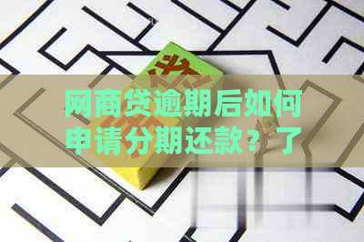 网商贷逾期后如何申请分期还款？了解全面解决方案和步骤