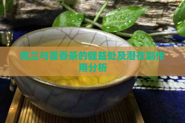 佩兰与藿香茶的健益处及潜在副作用分析