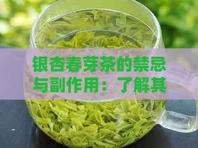 银杏春芽茶的禁忌与副作用：了解其适用情况与可能影响