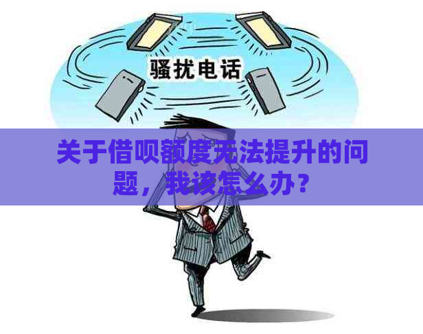 关于借呗额度无法提升的问题，我该怎么办？