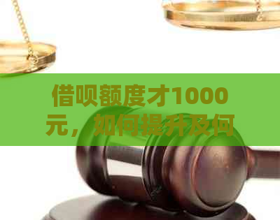 借呗额度才1000元，如何提升及何时能增长？