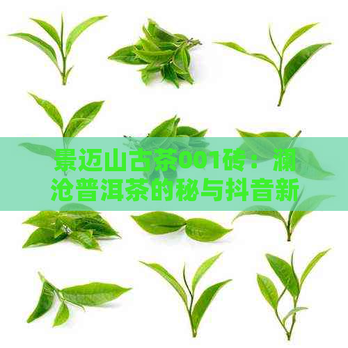 景迈山古茶001砖：澜沧普洱茶的秘与抖音新潮流