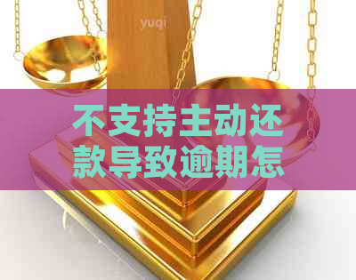 不支持主动还款导致逾期怎么办理信用卡