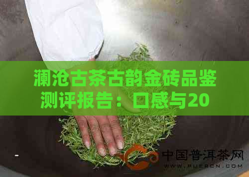 澜沧古茶古韵金砖品鉴测评报告：口感与2022年特色剖析