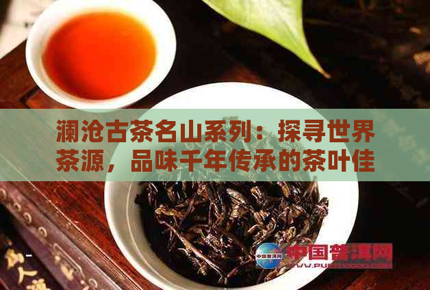 澜沧古茶名山系列：探寻世界茶源，品味千年传承的茶叶佳品