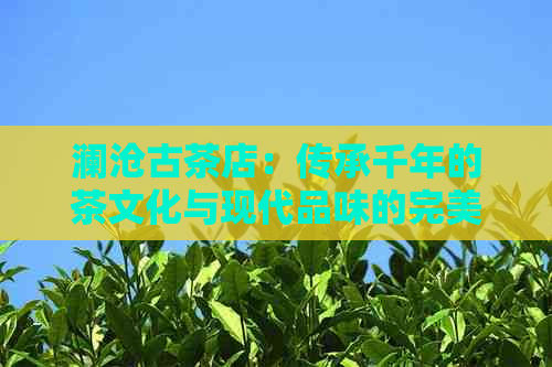 澜沧古茶店：传承千年的茶文化与现代品味的完美融合