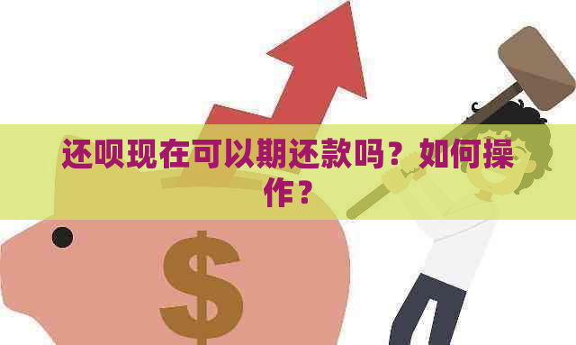 还呗现在可以期还款吗？如何操作？