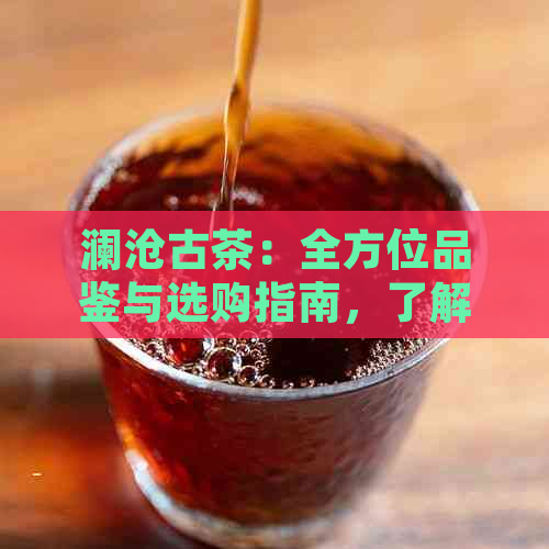 澜沧古茶：全方位品鉴与选购指南，了解产品系列、品质与泡法的完整信息