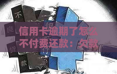 信用卡逾期了怎么不付费还款：欠款无法偿还的解决方法