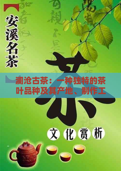 澜沧古茶：一种独特的茶叶品种及其产地、制作工艺的全面解析